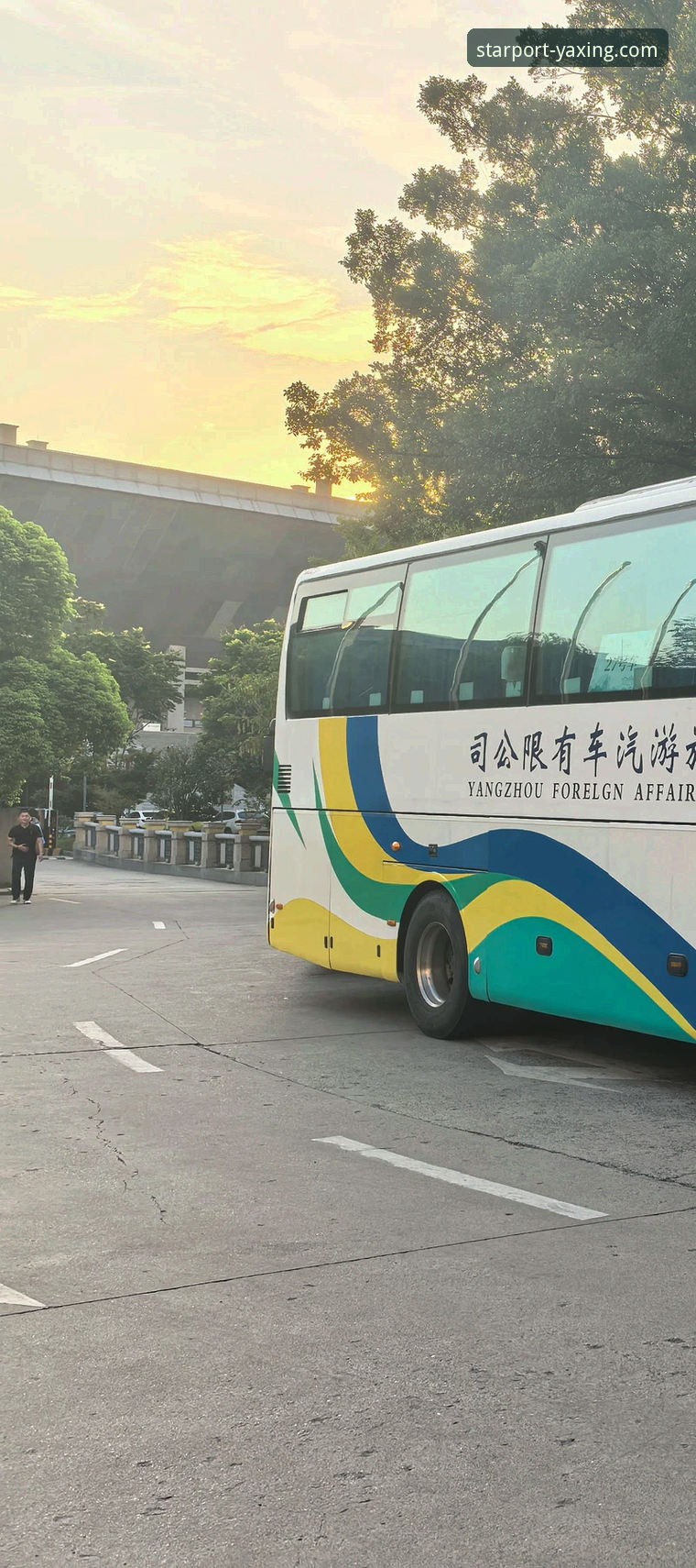 亚星YAXING官方应用全面解析：从下载到使用的完整指南
